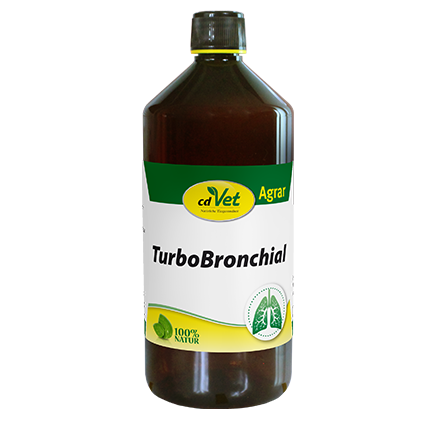 Essen, Würzen, Sirup
