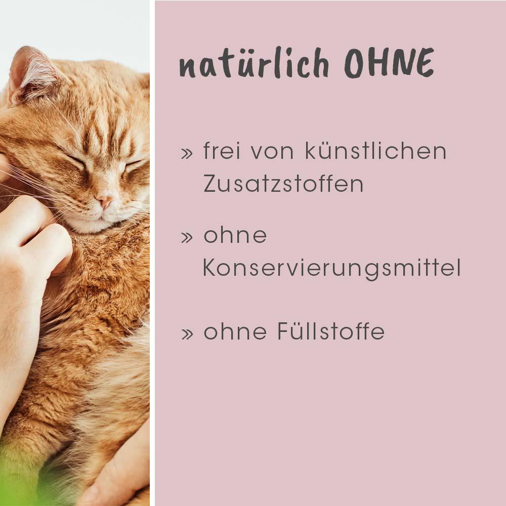 feliTATZ GeruchsStopp 100 ml
