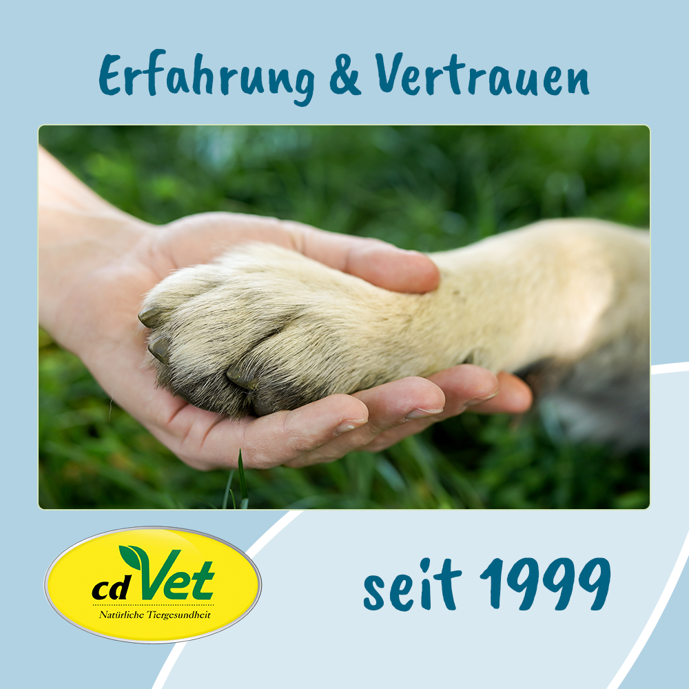 VeaVet WundEx Spray 100 ml