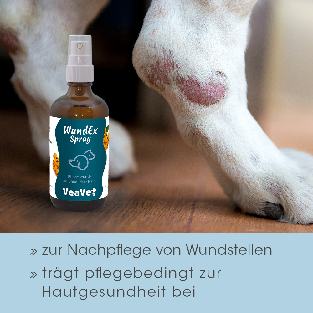 VeaVet WundEx Spray 100 ml