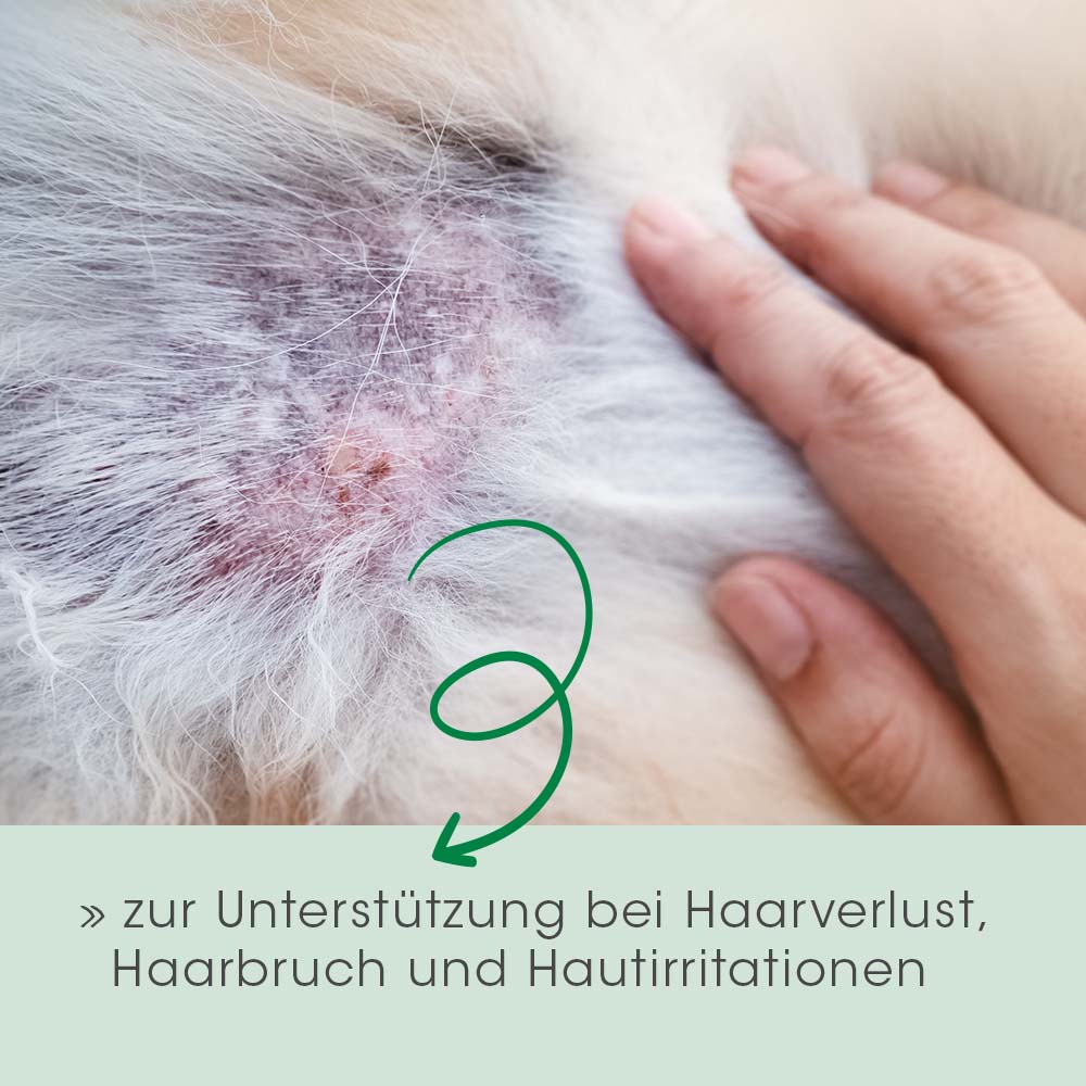 Fell & Haut Vital Hund & Katze 400 g