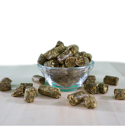 EquiGreen Bio-KräuterGrün Leckerlis 2,6 kg