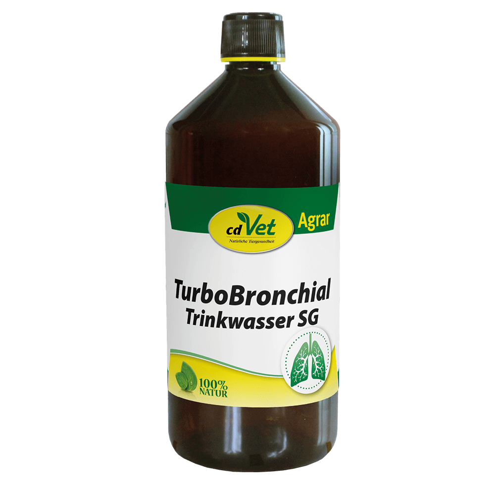 Essen, Würzen, Sirup, Ketchup