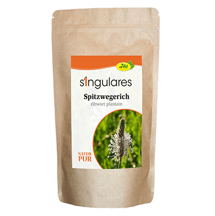 Kräuterig, Kräuter, Pflanze, Gras, Blume